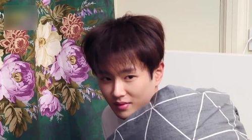 李振宁现场吃瓜视频大全,趣味十足视频大盘点