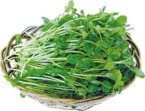 刘大瓜吃豌豆苗视频,趣味横生引网友热议