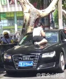 抓捕吃瓜群众视频大全,视频大全中的趣味瞬间回顾