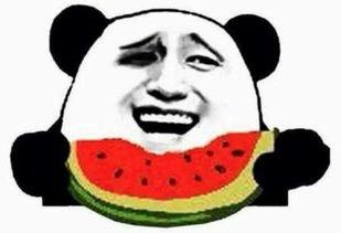 吃瓜群众小六子视频,揭秘娱乐圈幕后故事