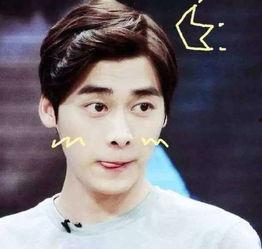 吃瓜李易峰直播视频大全,趣味横生视频大盘点