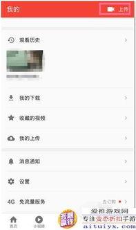 吃瓜人拍照视频教程大全,轻松掌握拍瓜技巧