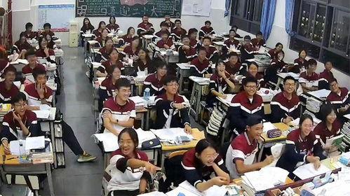 小学生打架吃瓜视频播放,小学生打架吃瓜视频引发热议