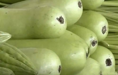 吃葫芦瓜要削皮嘛视频讲解,视频讲解揭秘