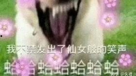 摸鱼吃瓜活动视频,趣味视频背后的欢乐时光