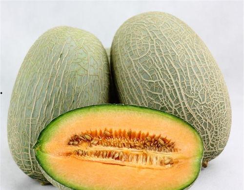 金星吃哈密瓜视频大全播放,视频大全播放量爆表！