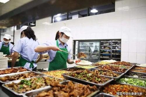 江西食堂吃瓜事件视频完整版,视频完整版揭露惊人真相