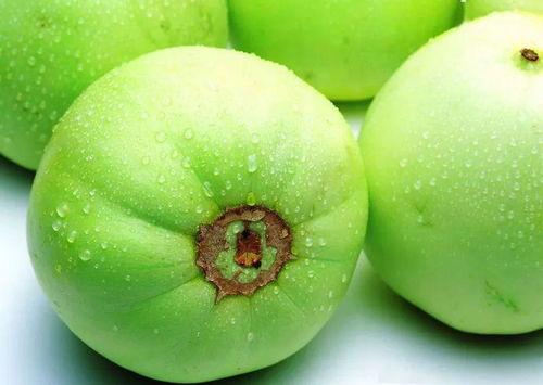 吃雪梨瓜视频大全,视频大全带你领略清凉滋味