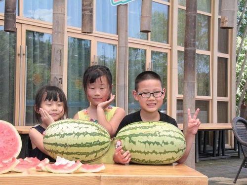 最后的赢家吃瓜视频,揭秘最后的赢家吃瓜视频幕后故事