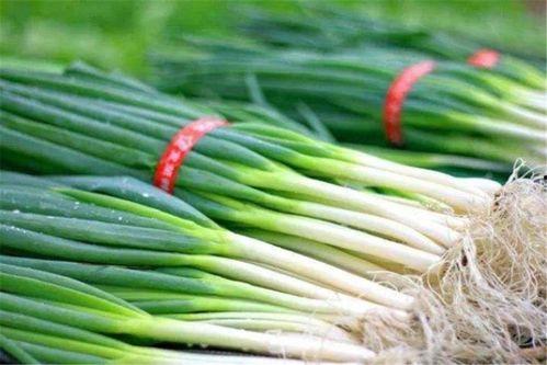 吃瓜长葱的视频,一场视觉盛宴的幕后故事